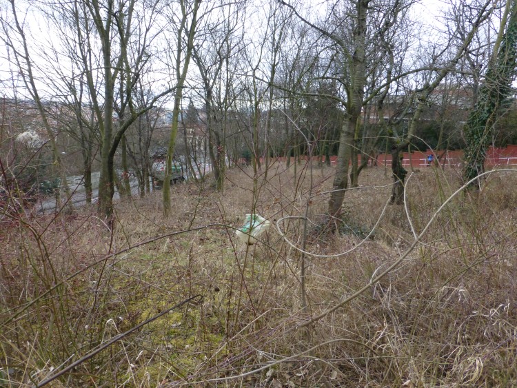 Revitalizace třešňového sadu nad Juliskou