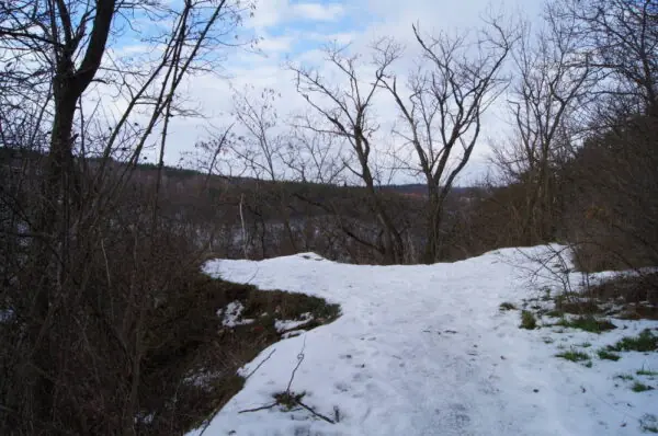 Obnovení altánu na Primátorské stezce v Divoké Šárce