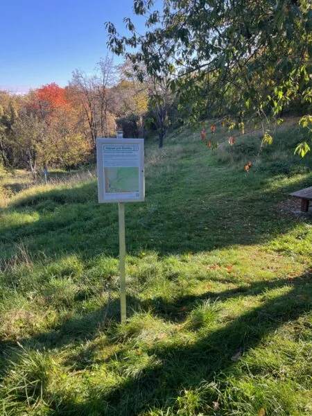 Revitalizace a průsek pěší stezky v Šárce v okolí „Zlodějky“