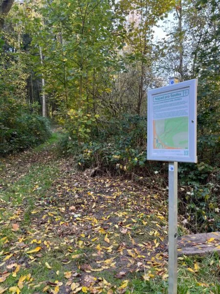 Revitalizace a průsek pěší stezky v Šárce v okolí „Zlodějky“