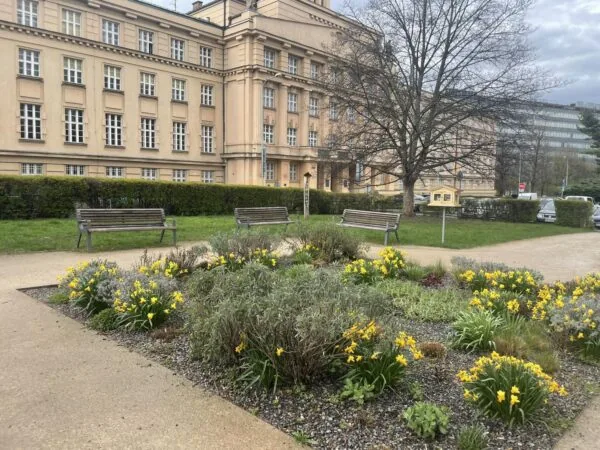 Park Jaroslava Meda – revitalizace prostoru před KTF UK