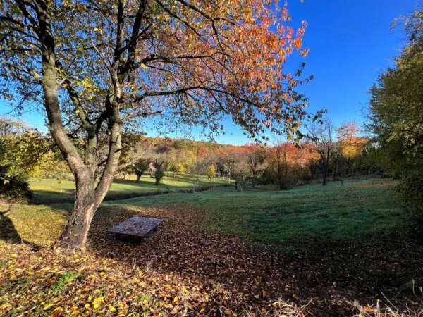 Revitalizace a průsek pěší stezky v Šárce v okolí „Zlodějky“