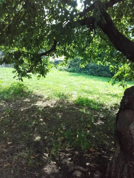 Ekologické toalety do parků