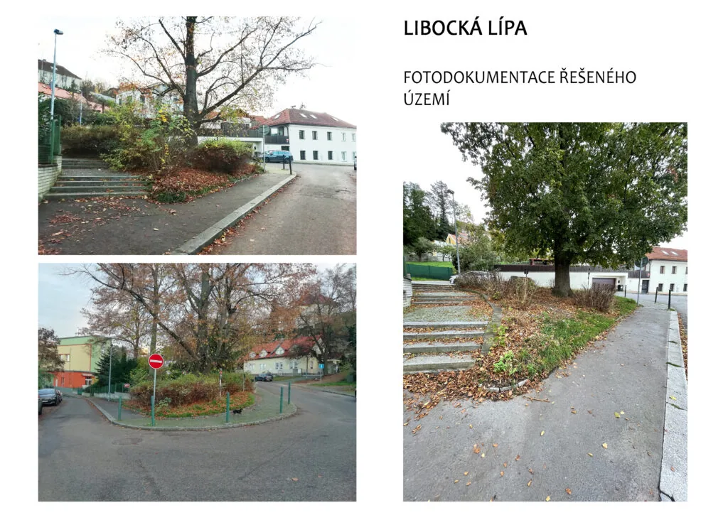 Libocká lípa- aktivní