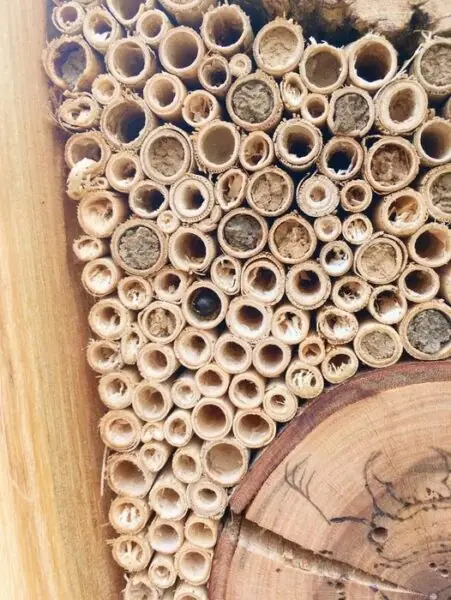 Park Jaroslava Meda – revitalizace prostoru před KTF UK