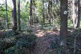 Revitalizace a průsek pěší stezky v Šárce v okolí „Zlodějky“