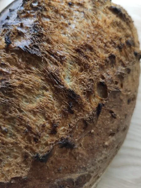 Dům chleba – (Nejen) komunitní pekárna pro Prahu 6