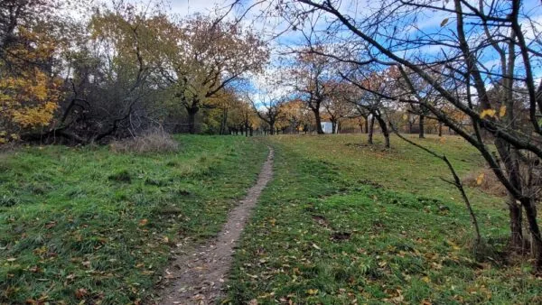 Obnovení pěší cesty z Bořislavky do Šáreckého údolí – na Jenerálku.