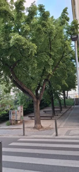 💧 NA ZDRAVÍ. Břevnovské veřejné pítko nejen pro školáky