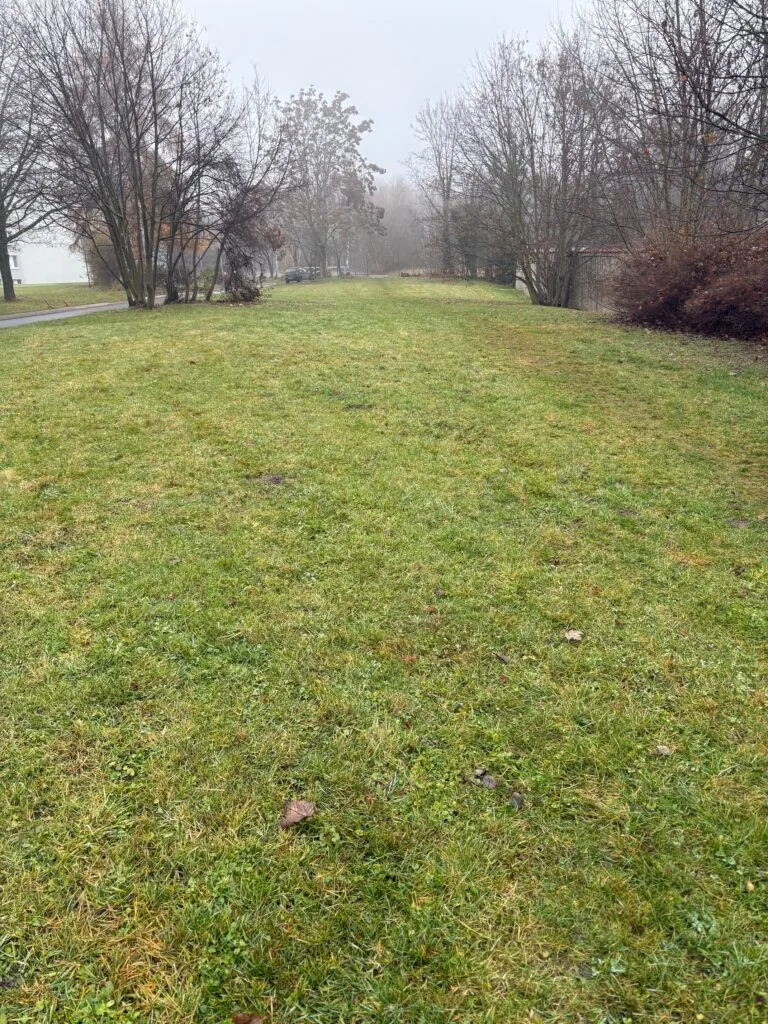 Komunitní pikniková a grilovací zóna „Šestková oáza“  na Petřinách