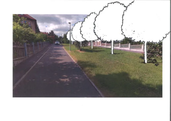 Stromy v ulici U Hadovky