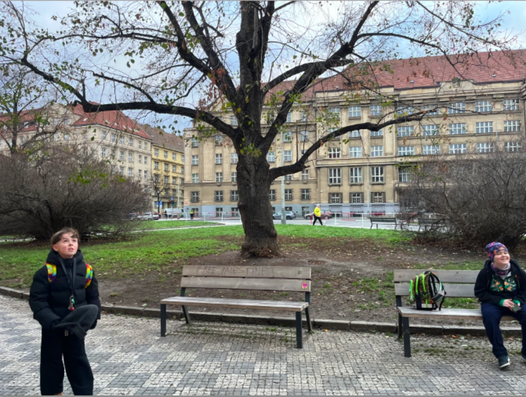 Revitalizace předprostoru Základní školou Nám. Svobody