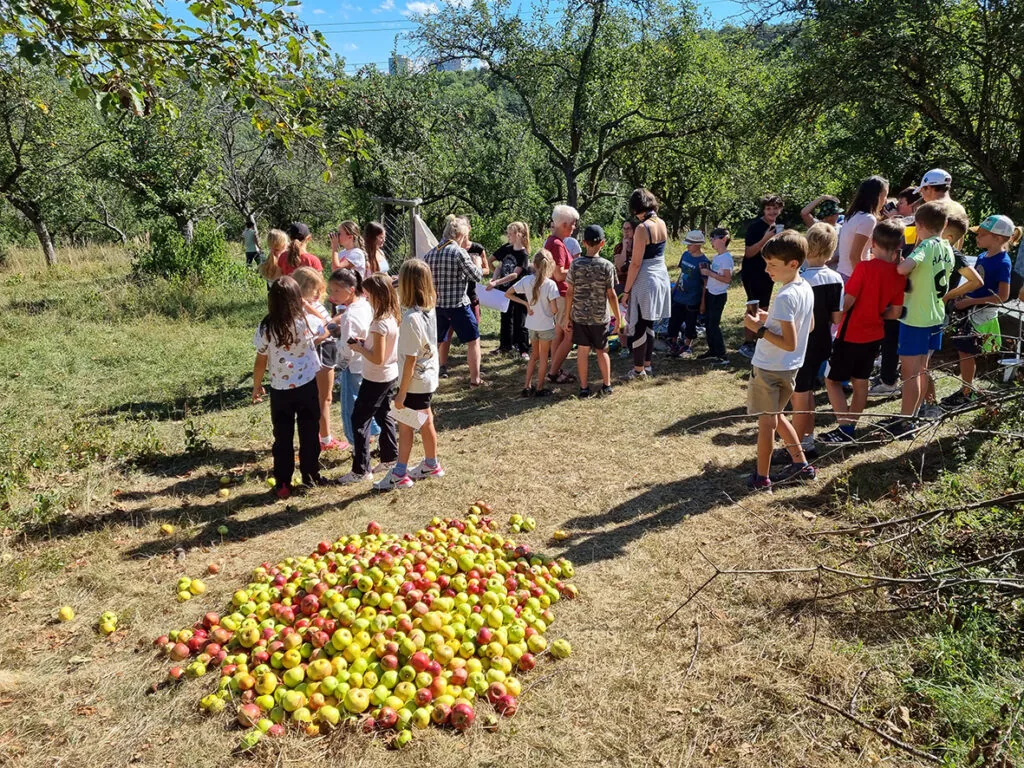 Komunitní moštárna ve Vokovicích