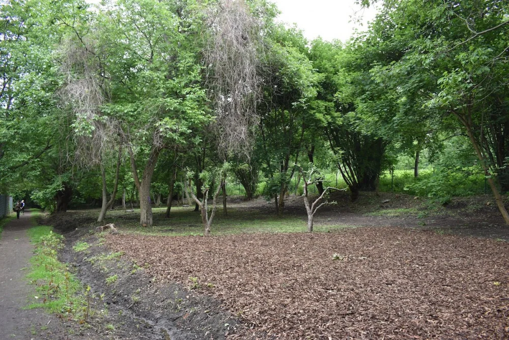 Ohniště u Lidických ořešáků (Bořislavka)