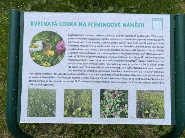 Divoké luční kvítí Flemingovo náměstí